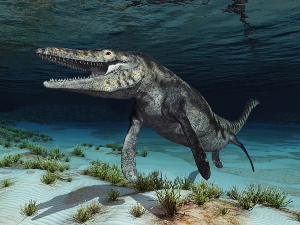 mosasaurus (1)