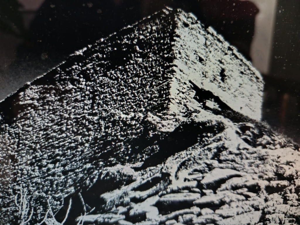 unnamed (11)
