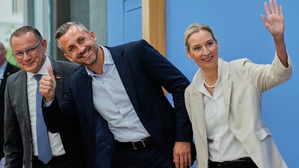 Afd Germania – new