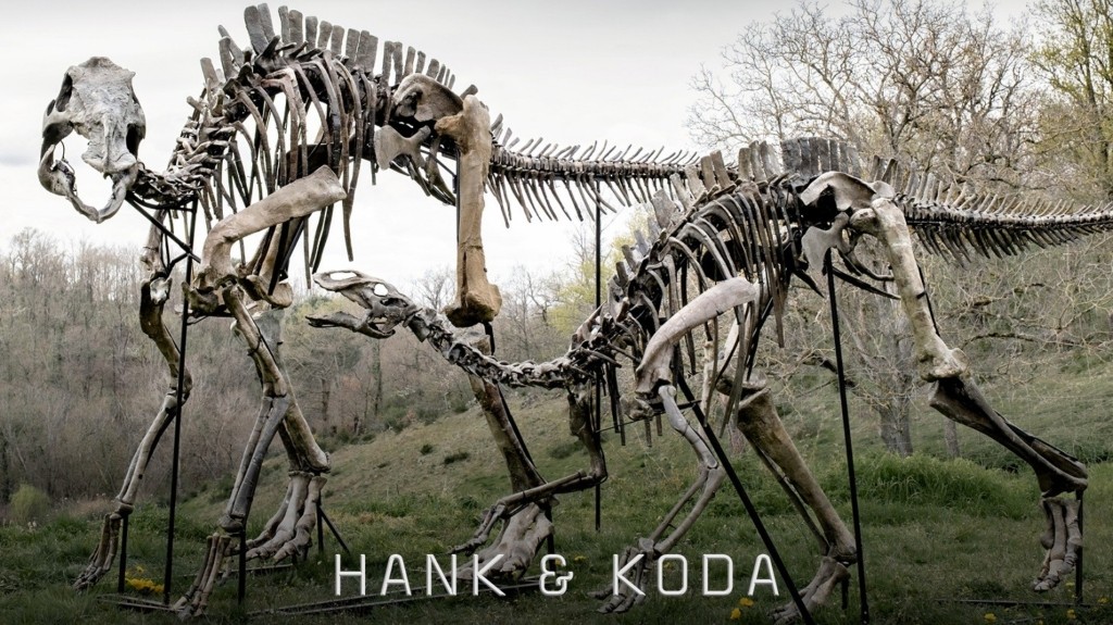Hank_Koda_Marketing-page_2