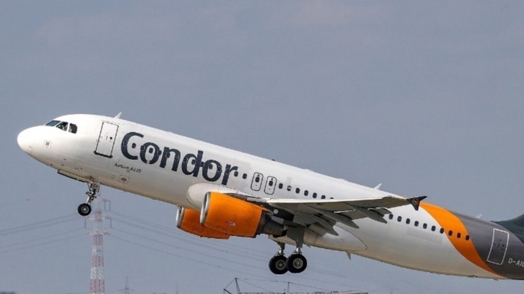 condor