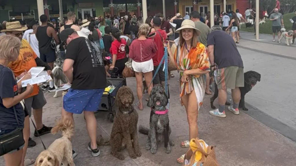 dogs las vegas