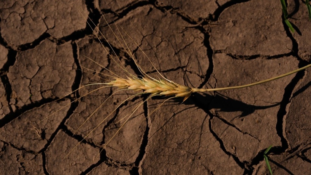 el nino