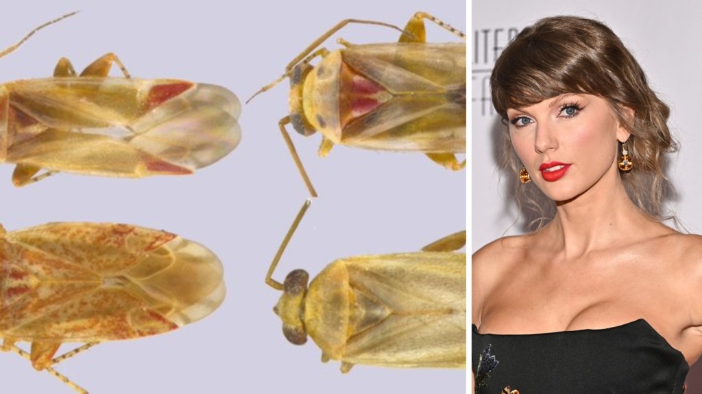 entoma taylor swift – new