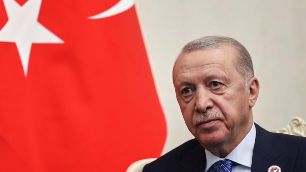 erdogan 55- new