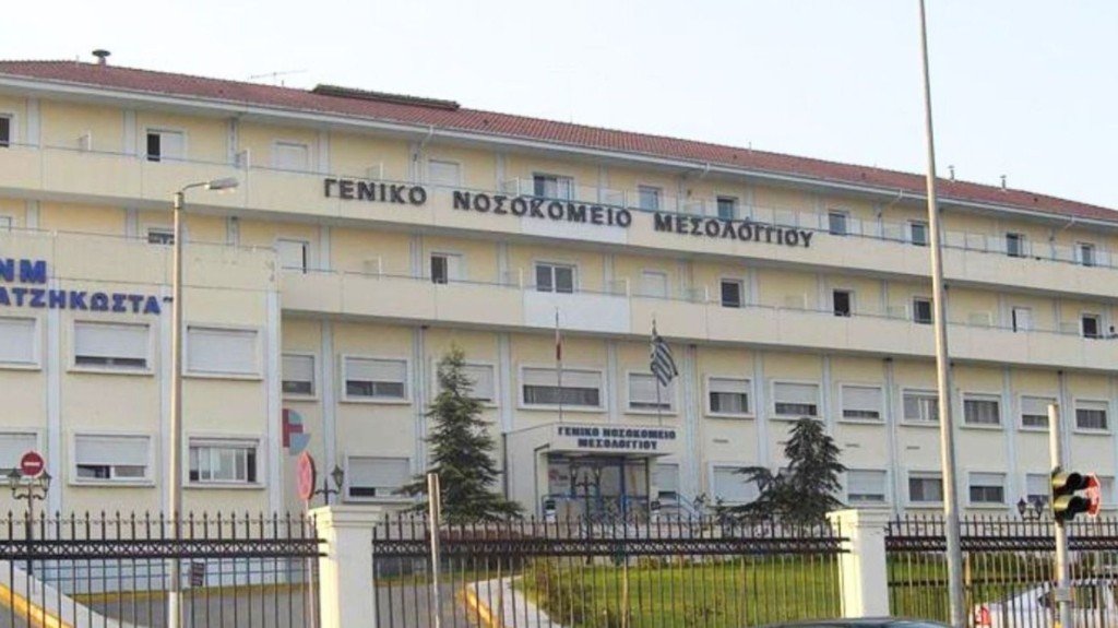 mesologgi new