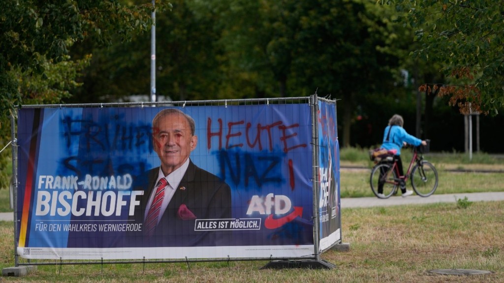 nazi_afd