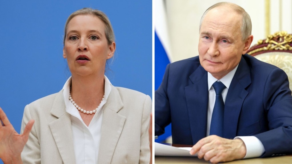 putin vaidel afd new