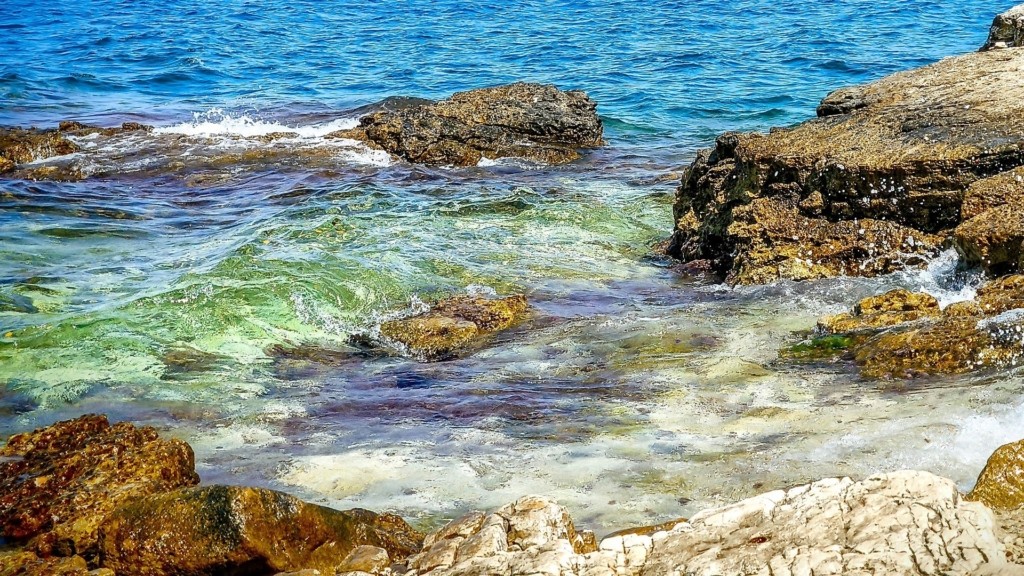 SEA_PARKS_NEW