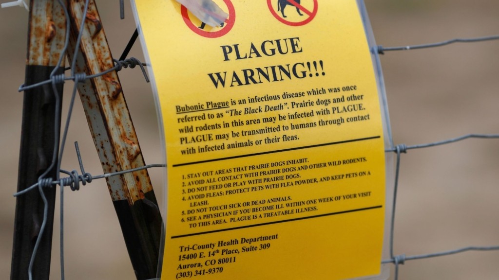 plague new
