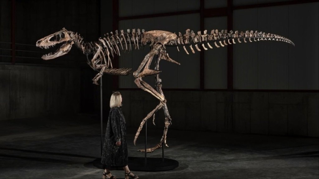 rex nano