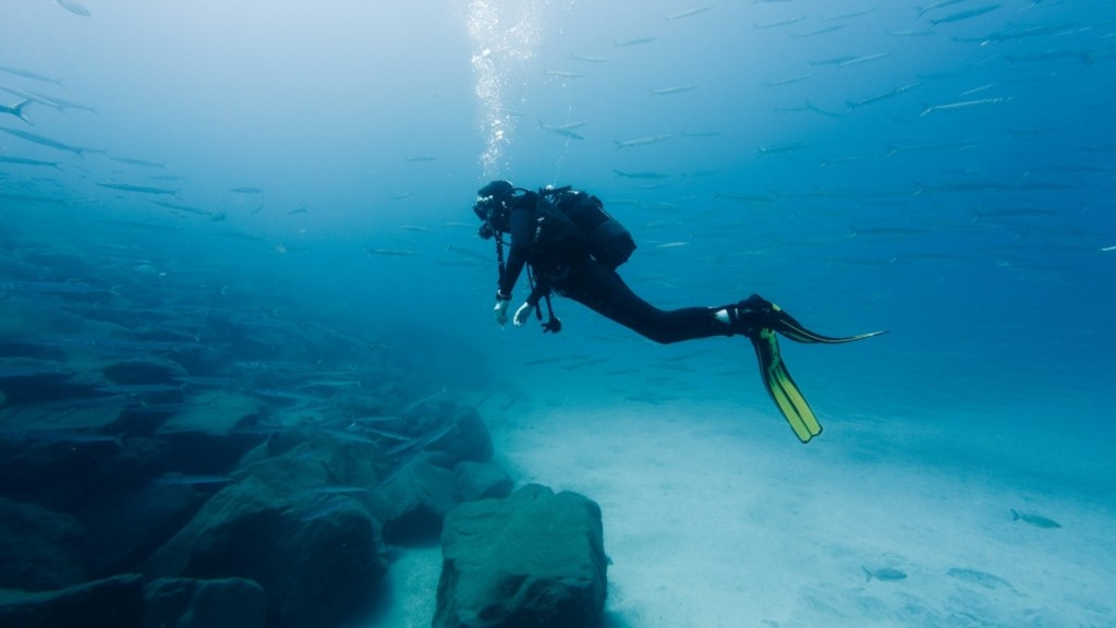 scuba